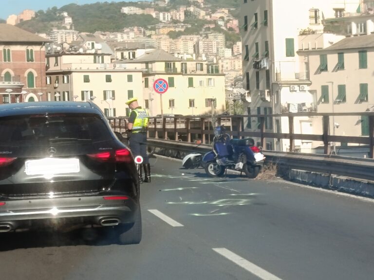 IMG_20251028_190726 — Genova