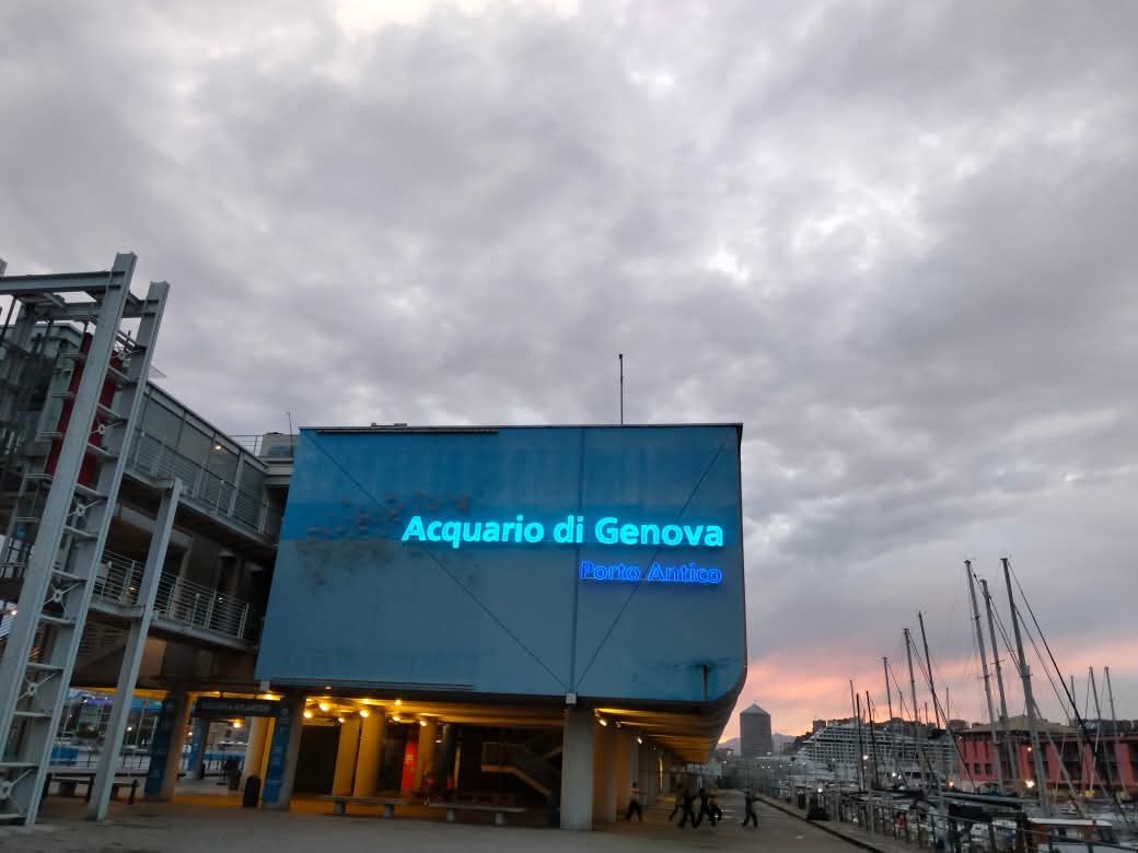 acquario