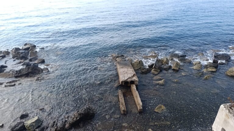 sturla_molo